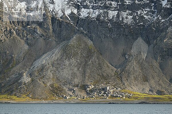 Geröll  Berghang  Hornsund  Spitzbergen  Svalbard  Norwegen  Europa