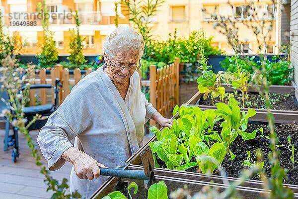 Ältere Frau pflanzt Samen in einem Gemüsegarten in einem Altenheim