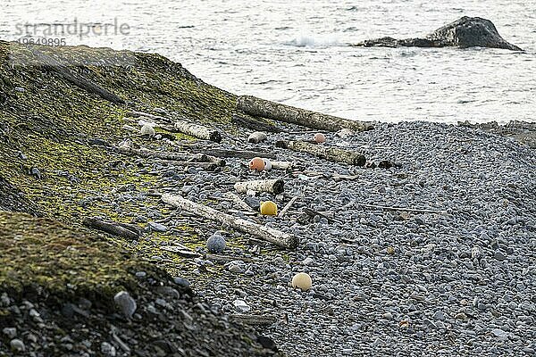 Treibholz und Plastikmüll  Strand  Dauneninseln  Dunøyane Inselgruppe  Spitzbergen  Svalbard  Norwegen  Europa