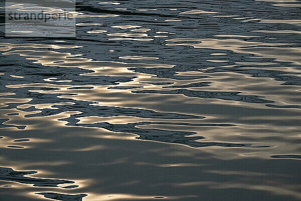 Spiegelungen  Meeresoberfläche  Hornsund  Spitzbergen  Svalbard  Norwegen  Europa