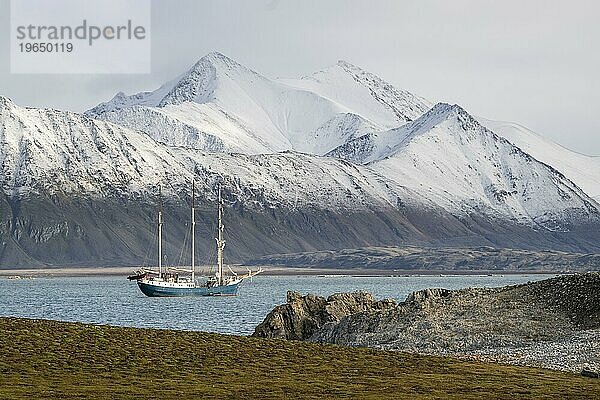 Barkentine Antigua  Dauneninseln  Dunøyane Inselgruppe  Spitzbergen  Svalbard  Norwegen  Europa