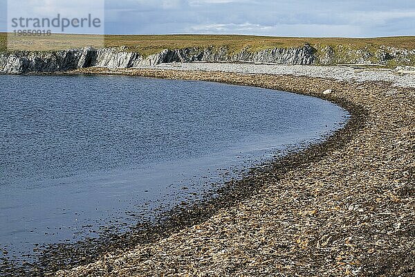 Strand  Bucht  Dauneninseln  Dunøyane Inselgruppe  Spitzbergen  Svalbard  Norwegen  Europa