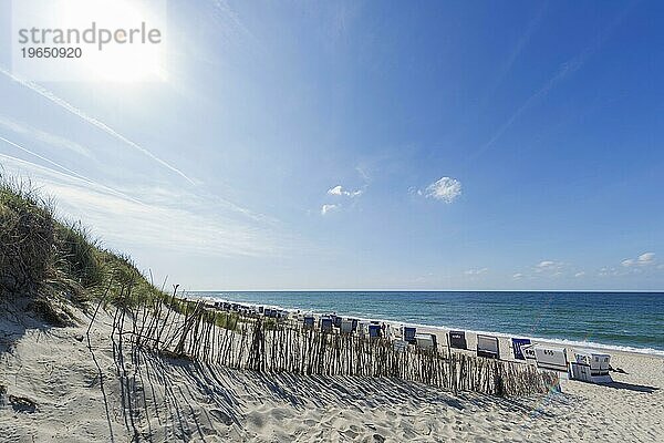 Strand auf der Nordseeinsel  Nordsee  Sonne  Gegenlicht  Sonnenlicht Sylt  Deutschland  Europa