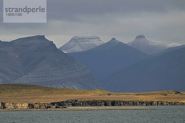 Küstenlandschaft und Berge  Nordfjorden  Isfjord  Spitzbergen  Svalbard  Norwegen  Europa