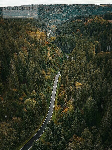 Luftbild einer Straße durch den Herbstwald in düsterer Stimmung  Schwarzwald  Rotfelden  Deutschland  Europa