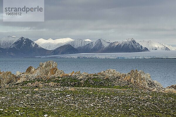 Felsen  Dauneninseln  Dunøyane Inselgruppe  Gletscher Torellbreen  Spitzbergen  Svalbard  Norwegen  Europa