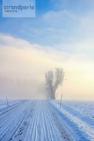 Verschneite Winterstraße mit kaltem Nebel im Winter