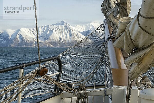 Bug  Barkentine Antigua  Hornsund  Spitzbergen  Svalbard  Norwegen  Europa