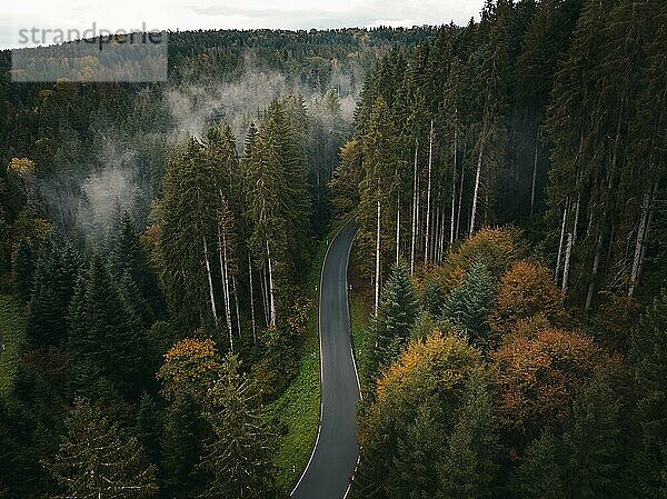 Luftbild einer Straße durch den Herbstwald in düsterer Stimmung mit Nebel  Schwarzwald  Rotfelden  Deutschland  Europa