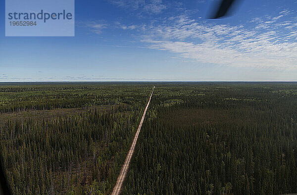 Bilder aus dem Wood Buffalo National Park  dem Nistplatz des gefährdeten Schreikranichs.