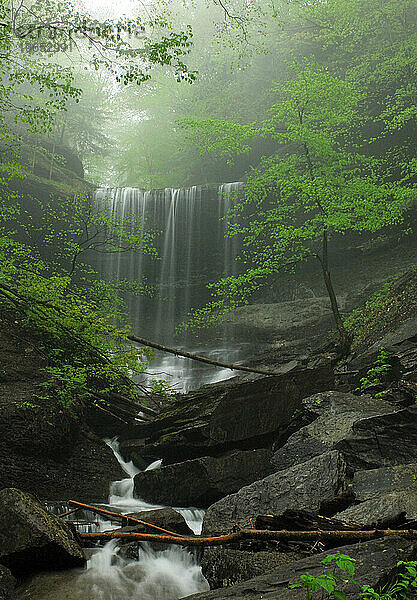 Tinkers Falls  New York  USA