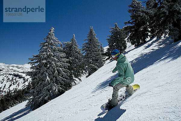 Snowboarder reiten bei Frühlingsbedingungen mit Neuschnee in den Bäumen.