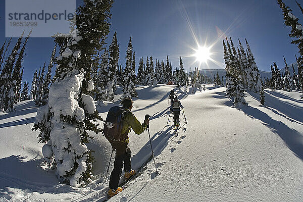Drei Personen Skitouren  British Columbia  Kanada