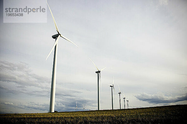 Weiße Windmühlen prägen das Ackerland der Landschaft.