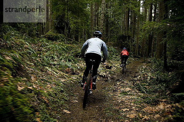 Zwei Mountainbiker fahren auf einem Singletrail durch den Wald.