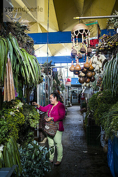 Verkäufer auf der Plaza de Mercado deÃ?Â Paloquemao in Bogotá  Kolumbien  verkaufen alles von Obst und Gemüse über Fisch bis hin zu Hühnern.