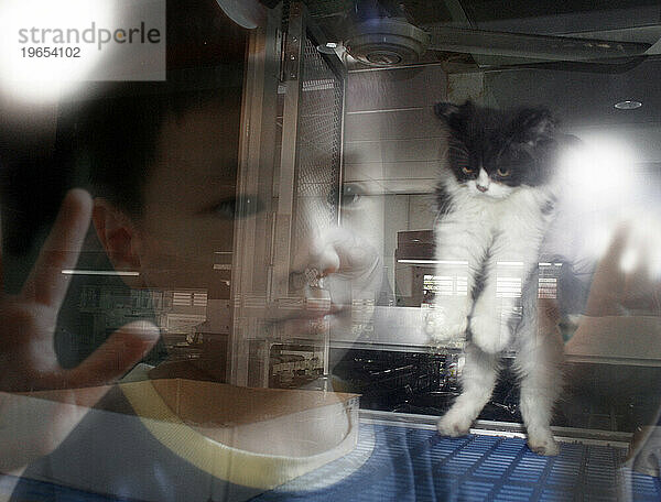 Ein kleiner Junge steht vor dem Fenster einer Zoohandlung.