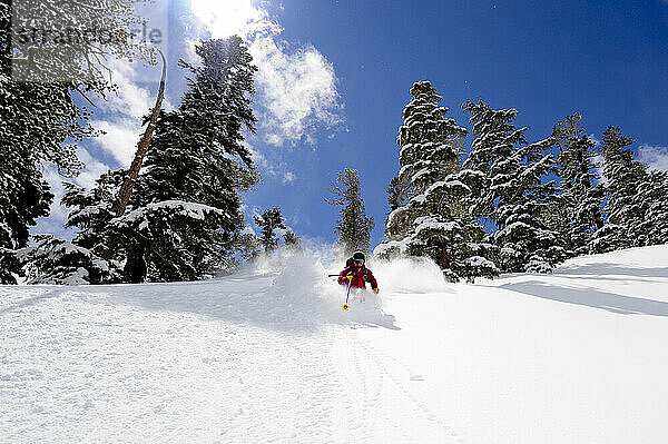 Ein Mann beim Skifahren an einem Bluebird-Powder-Tag in einem Bergresort in der Nähe von South Lake Tahoe  Kalifornien.