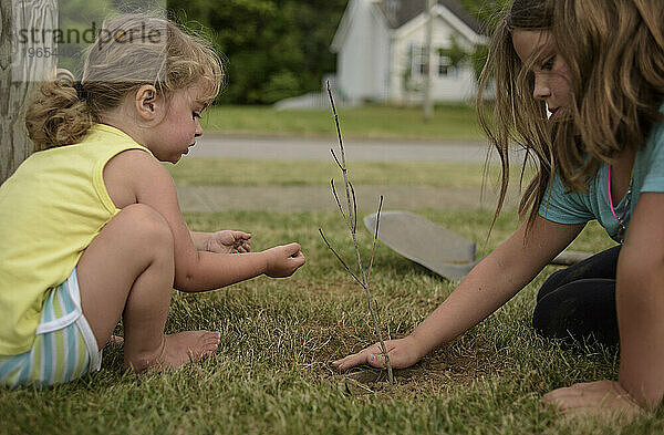 Schwester arbeitet zusammen  um einen kleinen Baum im Freien zu pflanzen