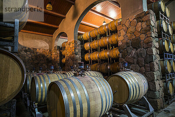 Weinfässer im Weinkeller  Mendoza  Argentinien