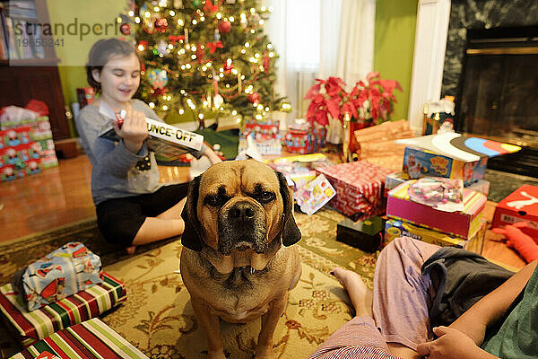 Junges Mädchen und Hund am Weihnachtsmorgen