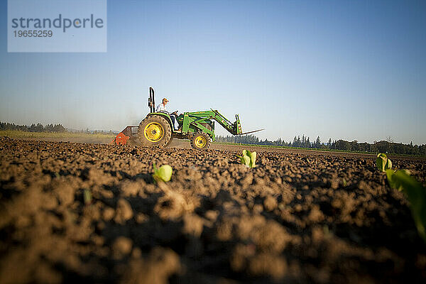 Traktor pflügt Feld.