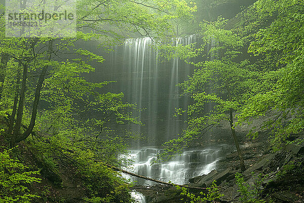 Tinkers Falls  New York  USA