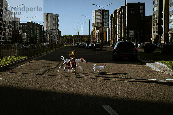 Ein Mädchen mit Hunden überquert die Straße.