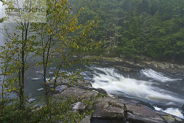 Kaskade entlang des Westarms des Ausable River  Adirondack Park  New York  USA