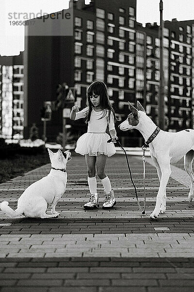 Mädchen mit weißen Hunden auf einem Spaziergang in der Stadt.