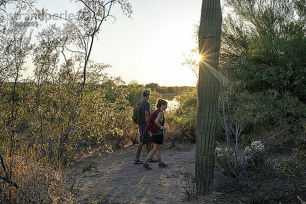 Paar wandert bei Sonnenuntergang am Saguaro-Kaktus vorbei