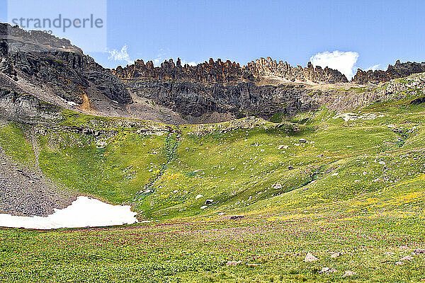 Wiese und Berge  Yankee Boy Basin  San Juan Mountains  Colorado  USA