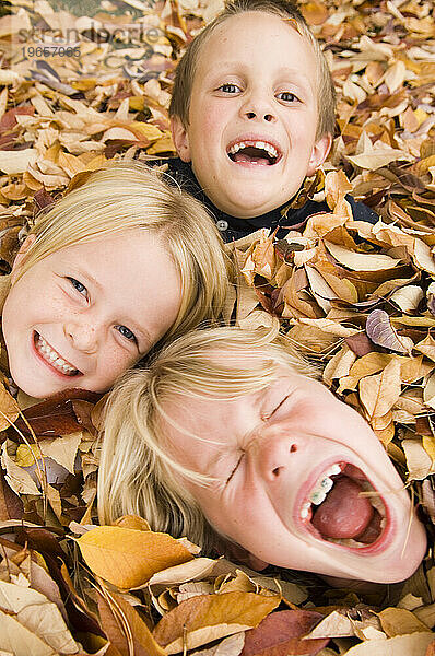 Drei Kinder  zwei Mädchen und ein Junge  spielen im Herbstlaub in Fort Collins  Colorado.