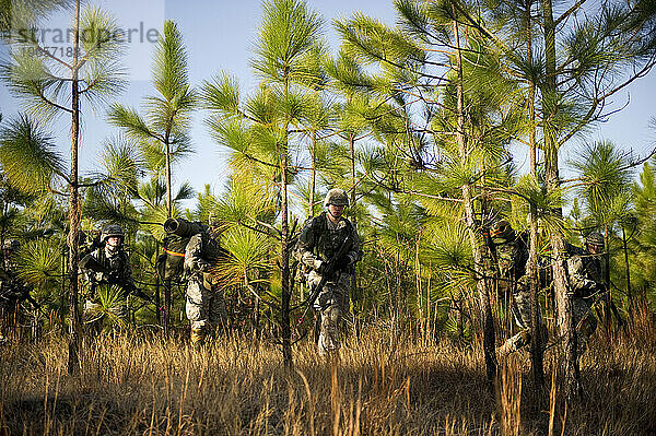 Während einer Feldübung patrouillieren Soldaten durch den Wald.