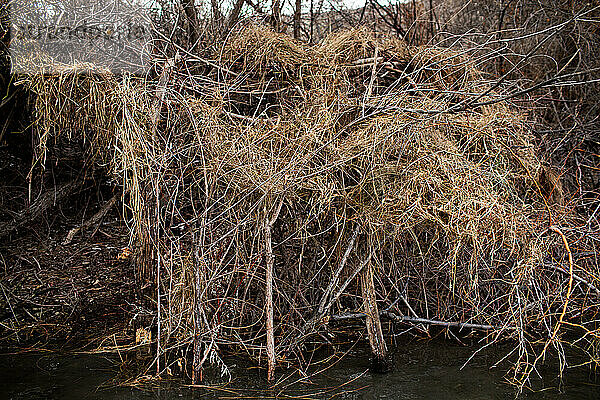 Handgefertigtes Entenrollo aus Zweigen bietet Schutz vor dem Ri