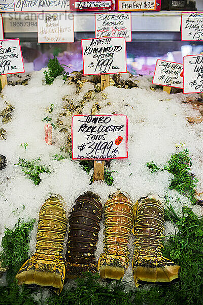 Frischer Hummer an einem Stand auf dem Pike Place Market in Seattle  WA.