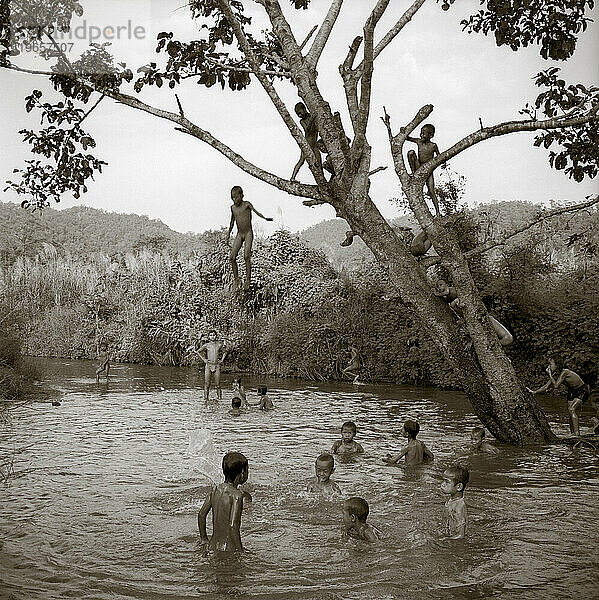 Junge Jungen springen von einem Baum in ein Schwimmloch  Mae Hong Son  Thailand
