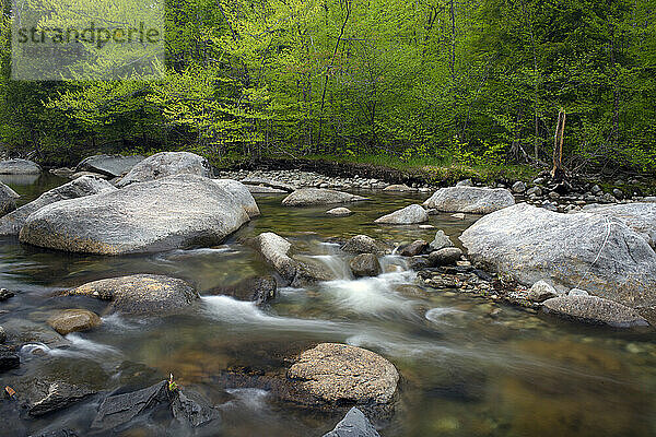 Adirondack Mountains State Park  New York