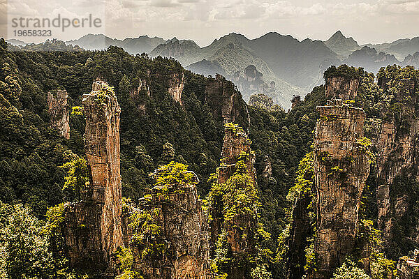 Karstsäulen in Wulingyuan  China