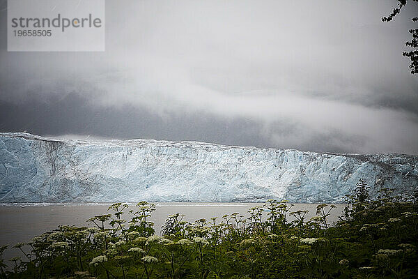 Ein großer Gletscher an einem bewölkten Tag.