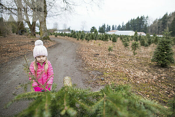 Selektiver Fokus auf ein junges Mädchen  das auf dem Bauernhof einen Weihnachtsbaum zieht