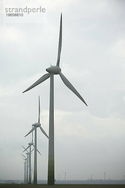 Eine Reihe von Windkraftanlagen in Flevoland  Niederlande.