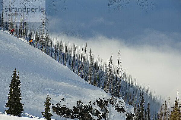Zwei Menschen fahren auf Skiern einen Berg mit einem abgebrannten Wald in British Columbia  Kanada  hinunter.