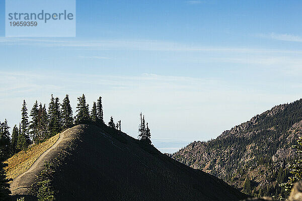 Hurricane Ridge bewaldeter Hügel im Olympic Nationalpark.