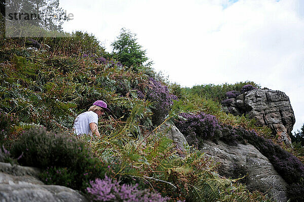 Ein junger Mann erkundet die Landschaft von Northumberland.