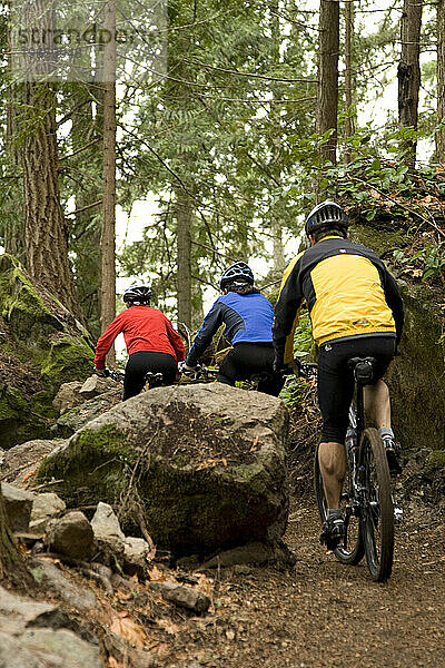 Zwei Mountainbiker fahren auf einem Singletrail durch den Wald.