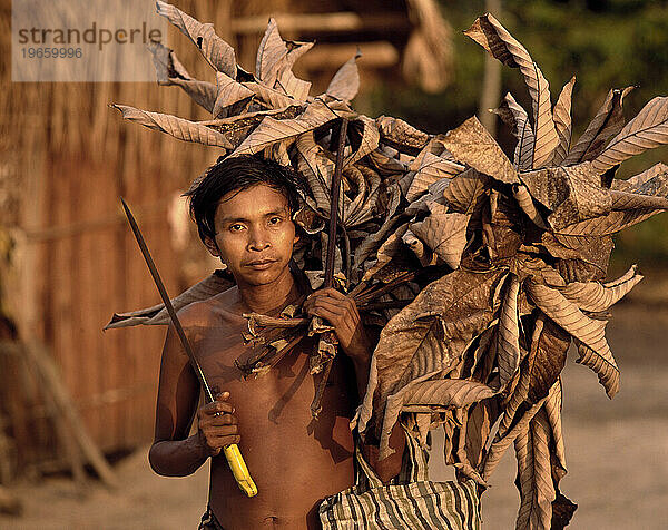 Makuna-Indianer mit getrockneten Blättern.