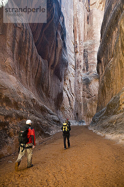 Drei Wanderer im Canyon  Arches Nationalpark  Moab  Utah.