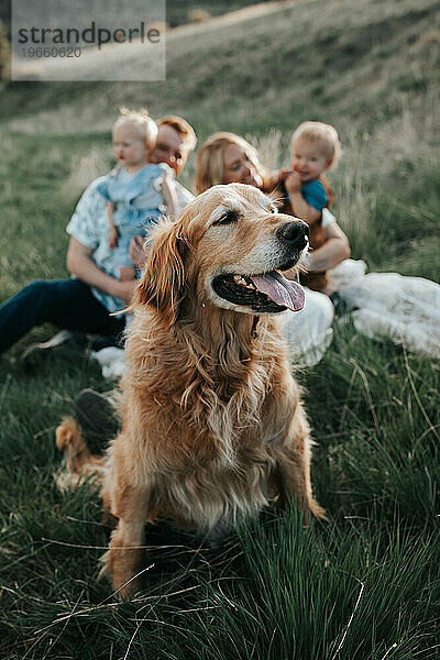 Familie mit Golden Retriever im Rampenlicht.