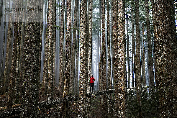 Ein junger Mann balanciert auf einem Baumstamm in einem nebligen Wald.